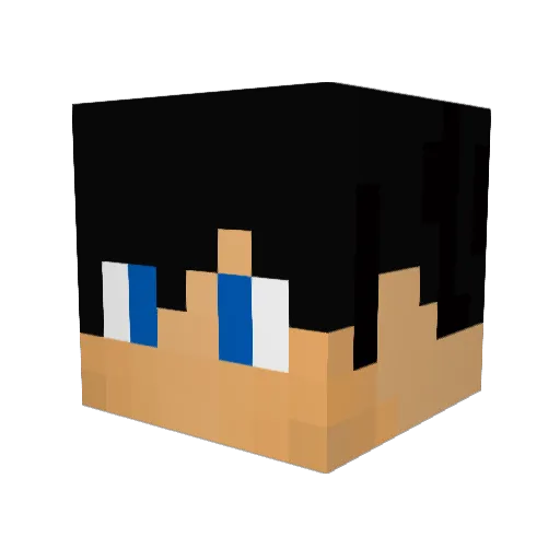 Superboy16_ Minecraft avatar head, 3D render