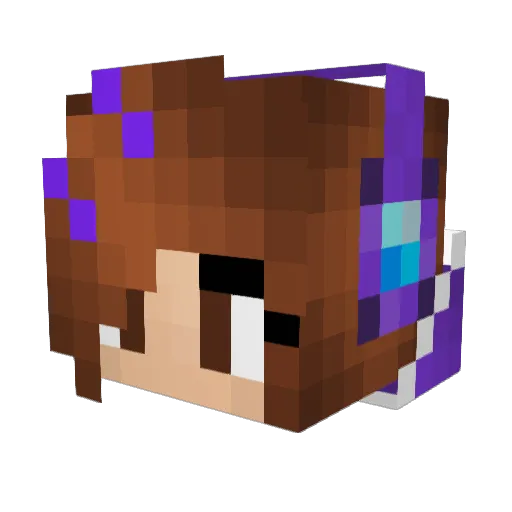 Supercat3737 Minecraft avatar head, 3D render
