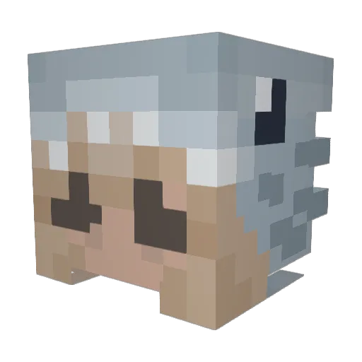 Supercatfluffy Minecraft avatar head, 3D render