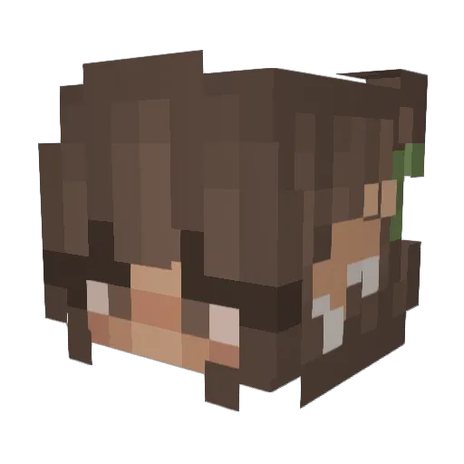 Supercookie1067 Minecraft avatar head, 3D render
