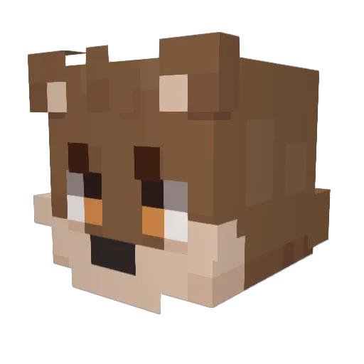Supercoolsteve Minecraft avatar head, 3D render
