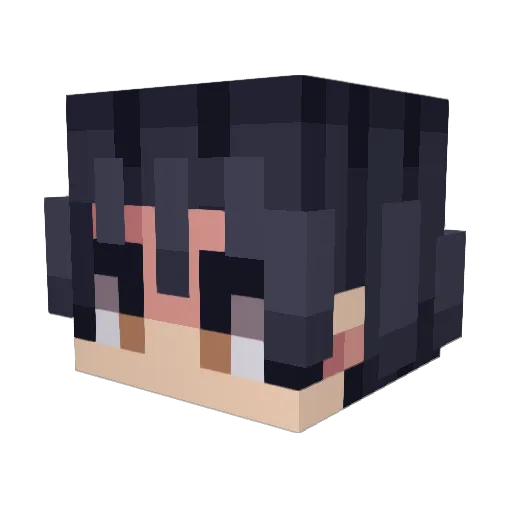Superdanielnuguy Minecraft avatar head, 3D render