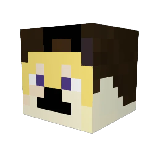Superdoge05 Minecraft avatar head, 3D render