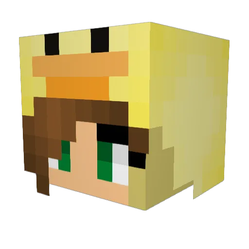 Superduck11 Minecraft avatar head, 3D render