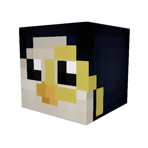 Superelli56 Minecraft avatar head, 3D render