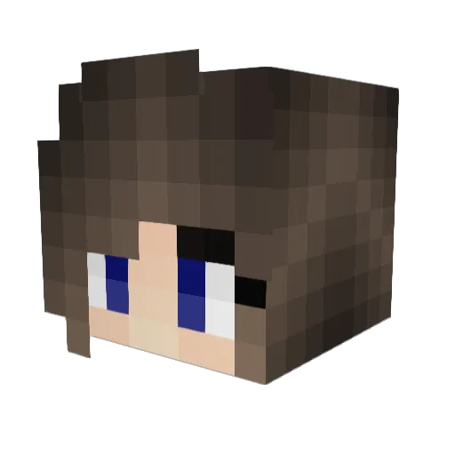 Superg1007 Minecraft avatar head, 3D render