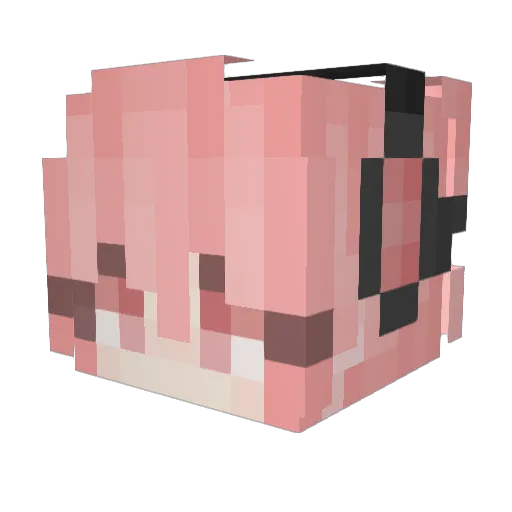 Supergamerlover Minecraft avatar head, 3D render