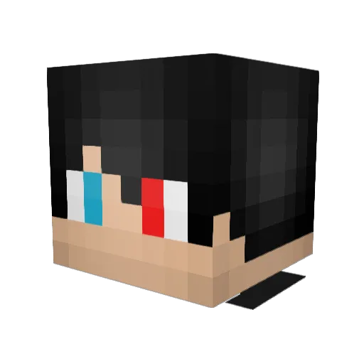 Superherogamer05 Minecraft avatar head, 3D render
