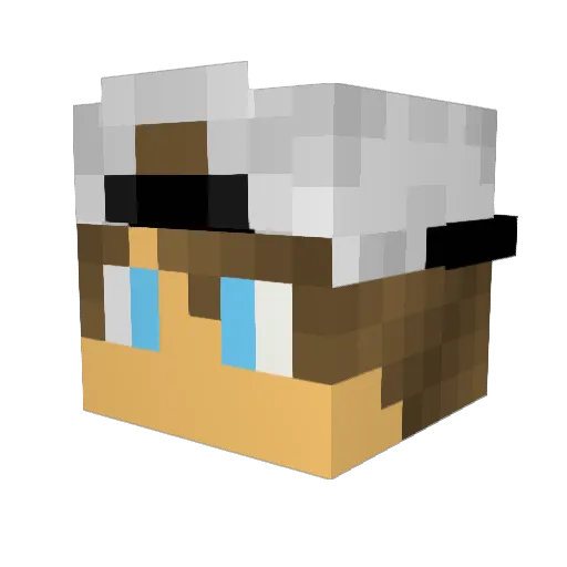 Superior149 Minecraft avatar head, 3D render