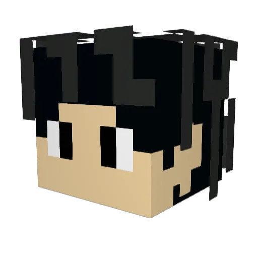 SuperiorFan3804 Minecraft avatar head, 3D render