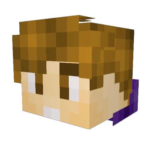 SuperiorMC Minecraft avatar head, 3D render