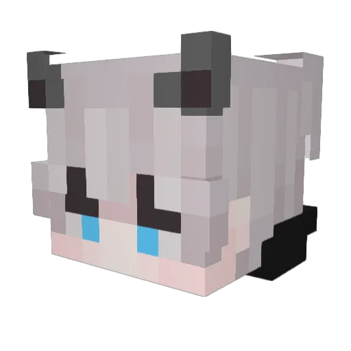 SuperiorRod Minecraft avatar head, 3D render