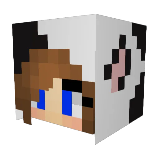 Superisamar2 Minecraft avatar head, 3D render