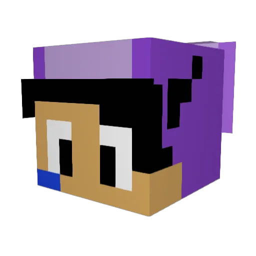Minecraft-Avatar von Superjacob_64: Kopf als 3D-Render