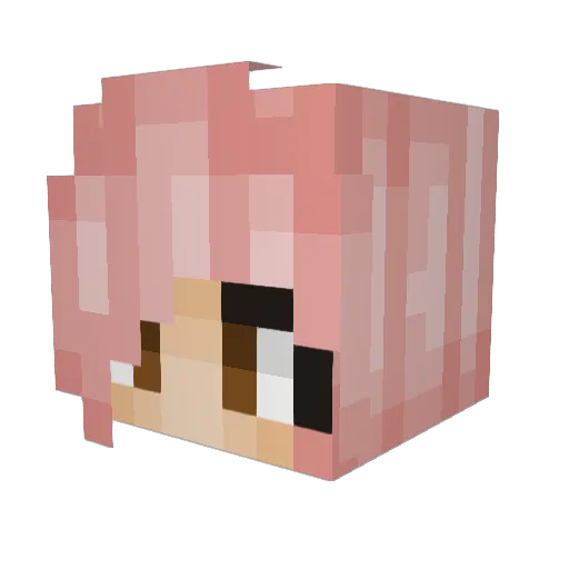 Superkittycool12 Minecraft avatar head, 3D render