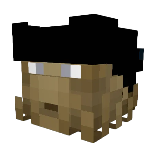 Supernat0r Minecraft avatar head, 3D render