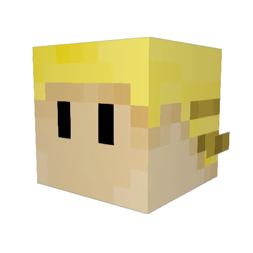 Superninja1027 Minecraft avatar head, 3D render