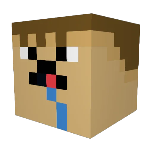 Supernoob140511 Minecraft avatar head, 3D render