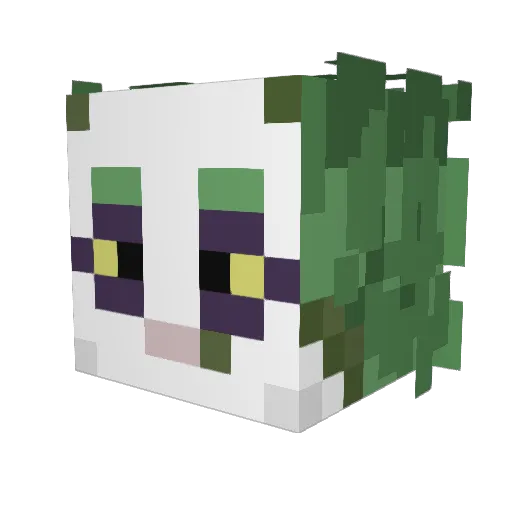 Supernova247101 Minecraft avatar head, 3D render
