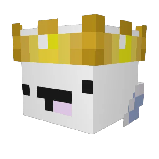 Supernova_007 Minecraft avatar head, 3D render