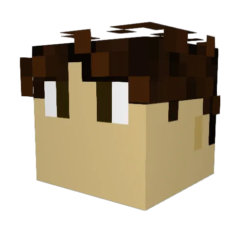 Supernova_8020 Minecraft avatar head, 3D render
