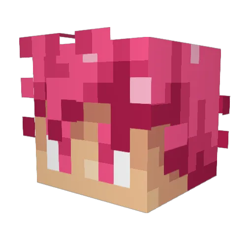 Superporkchop13 Minecraft avatar head, 3D render