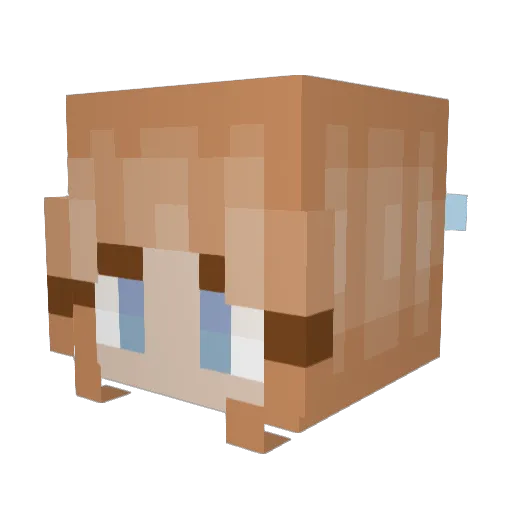 Superslo Minecraft avatar head, 3D render