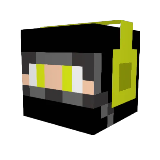 Supersmashbro8 Minecraft avatar head, 3D render
