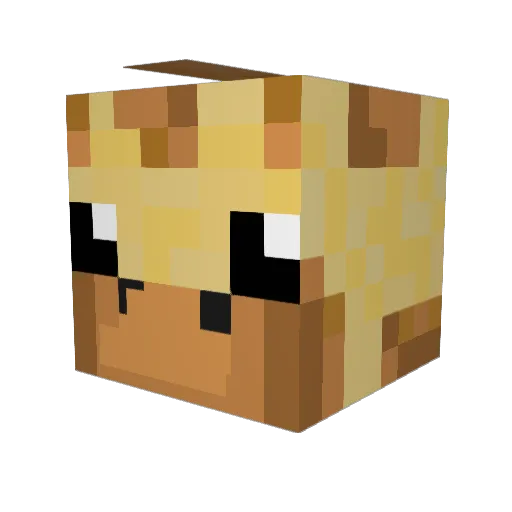 Supersoaker400 Minecraft avatar head, 3D render