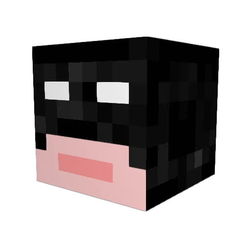 Supersoft2312 Minecraft avatar head, 3D render