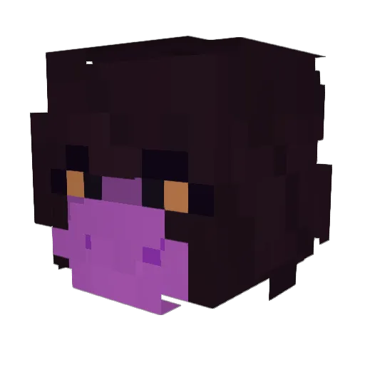 Supersonicfan22 Minecraft avatar head, 3D render