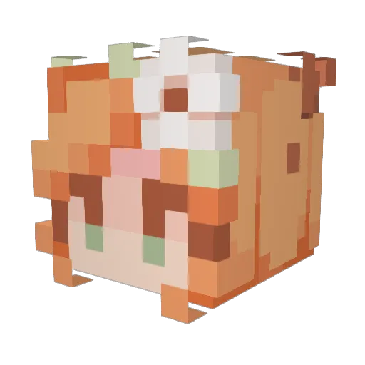 Superspywilda Minecraft avatar head, 3D render