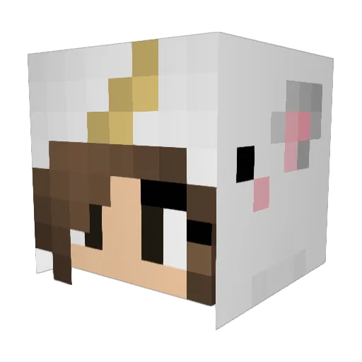 Superstar831 Minecraft avatar head, 3D render