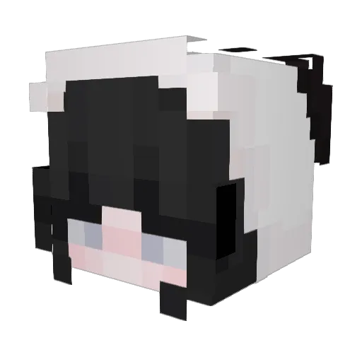 Superstar91 Minecraft avatar head, 3D render