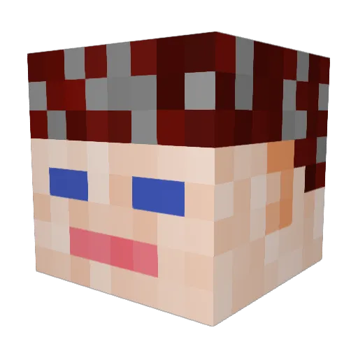 Superstes Minecraft avatar head, 3D render
