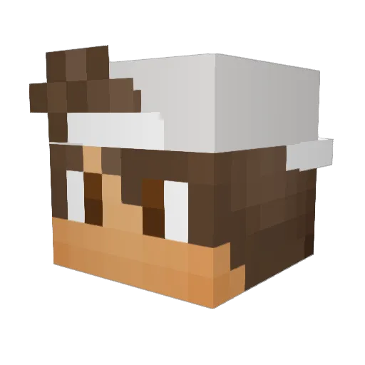 Supersurfer76 Minecraft avatar head, 3D render