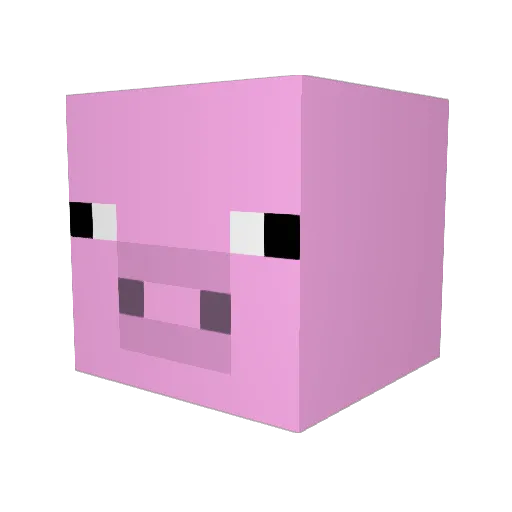 Supersuus80 Minecraft avatar head, 3D render