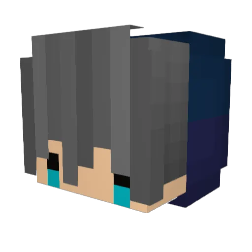 Supertigerr Minecraft avatar head, 3D render