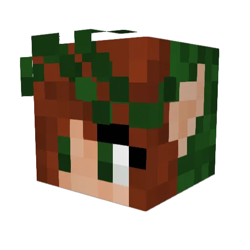Supertuki Minecraft avatar head, 3D render