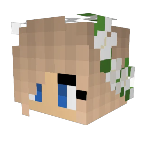 Superwolf201 Minecraft avatar head, 3D render