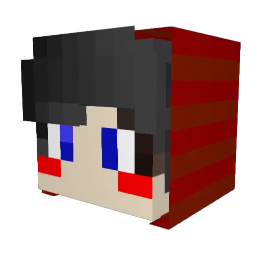 Superwonkagx Minecraft avatar head, 3D render
