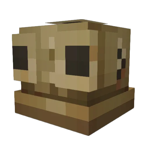 Supfux Minecraft avatar head, 3D render