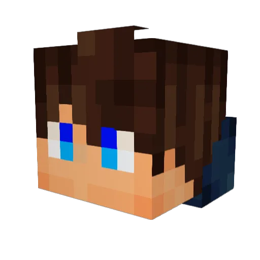 Suplast Minecraft avatar head, 3D render
