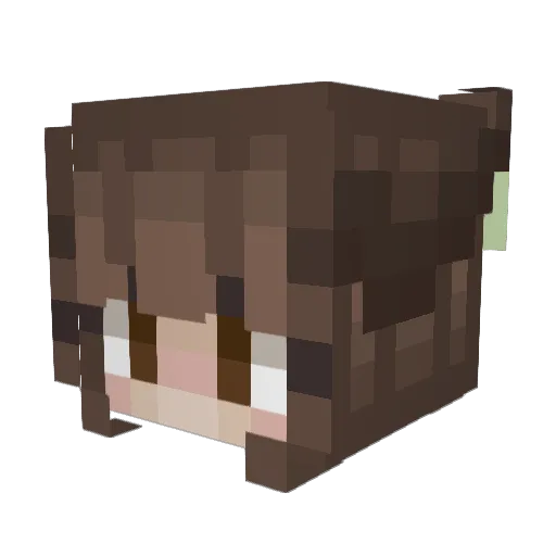 SuppenSaft Minecraft avatar head, 3D render