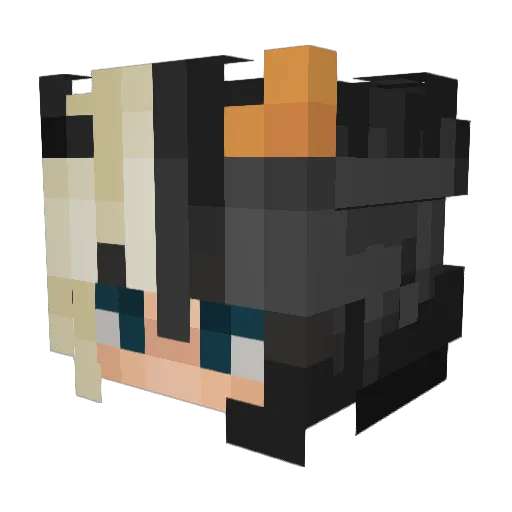 Suppendepp Minecraft avatar head, 3D render