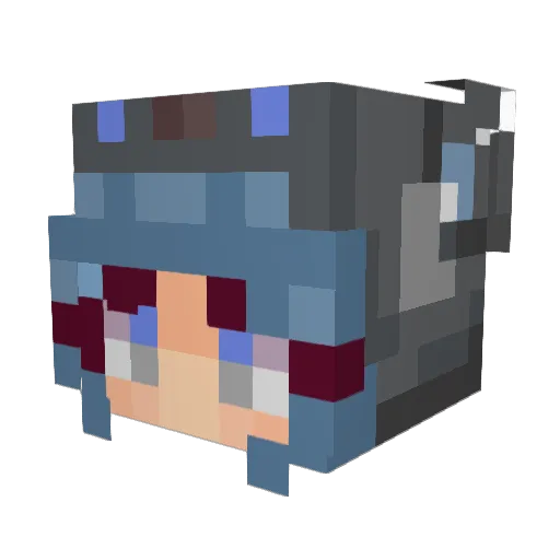Suppie99 Minecraft avatar head, 3D render