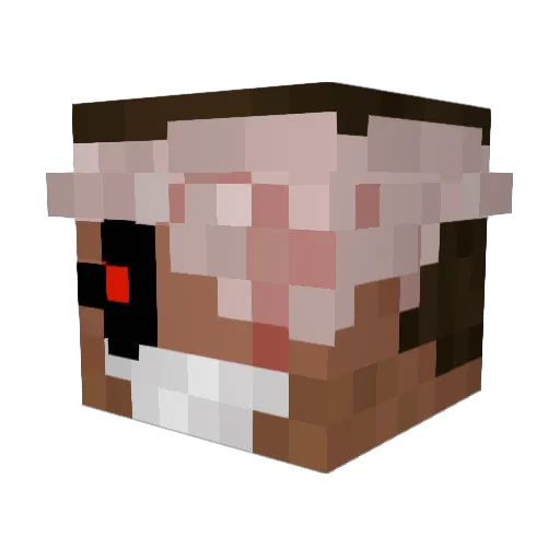 Supplesight420 Minecraft avatar head, 3D render