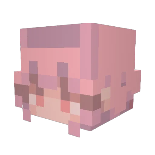 SupportEnjoyer12 Minecraft avatar head, 3D render