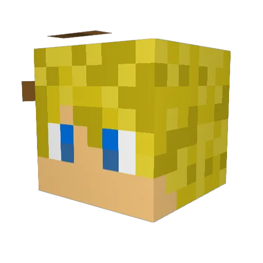 SupportFGR Minecraft avatar head, 3D render