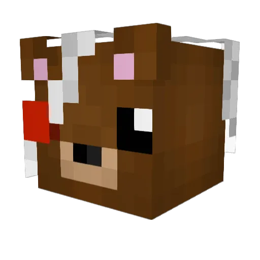 SuprAwesome69 Minecraft avatar head, 3D render